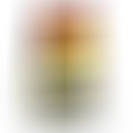 Ambrosia • Mini adult • Ultra premium за кучета от малки породи над 12 месечна възраст с Прясна сьомга и пиле