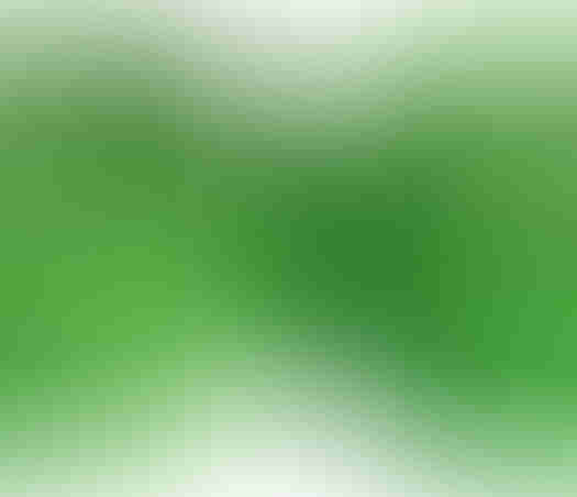 Гюделин Fi'zi:k Superlight Tacky Touch Green