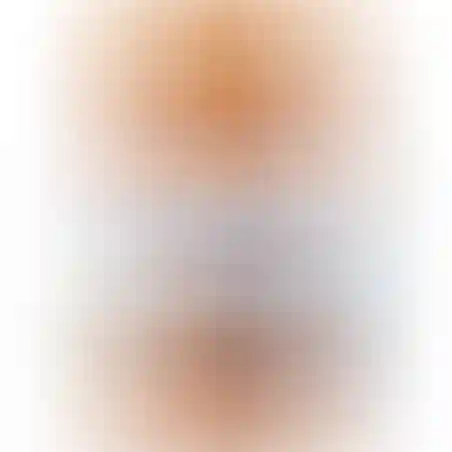 HOLLE Деметер Спагети болонезе 8м. 220г