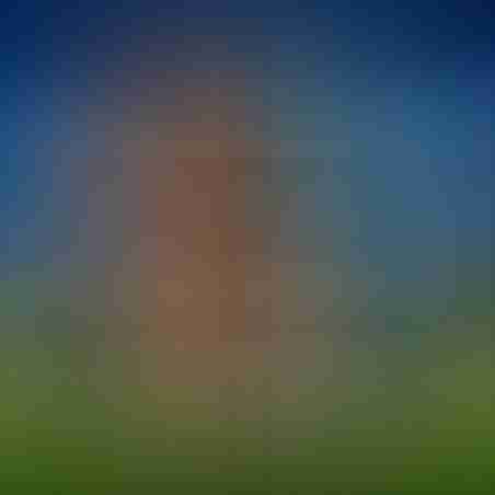 Плакат Lionel Messi (FC Barcelona)