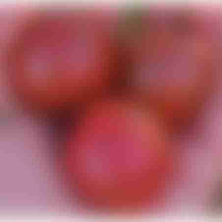Семена от домати чери диня 50бр.