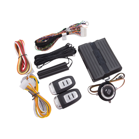 Sistem de aprindere la distanță pentru automobile - 1350303/AU PKE - 130347