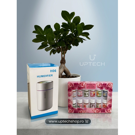 Umidificator multicolor pentru aromaterapie + Set Uleiuri esentiale