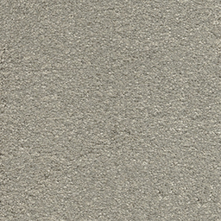 Ковровое покрытие AW Suspense 29