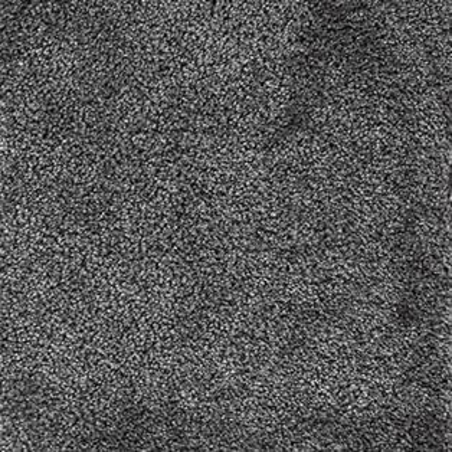 Ковровое покрытие AW Radiant 99