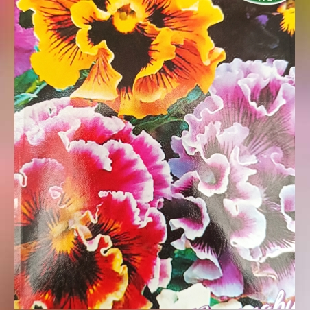 Теменуга къдрава