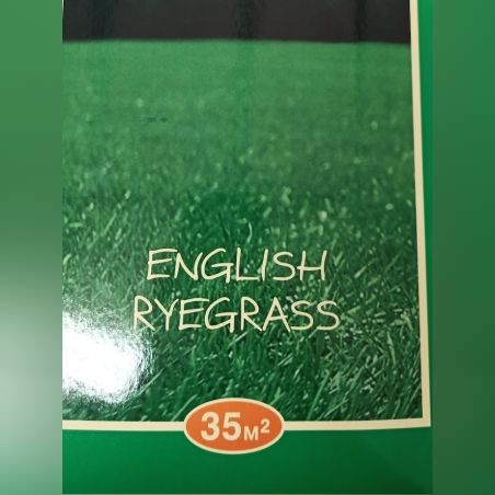 Английски райграс - 1 кг
