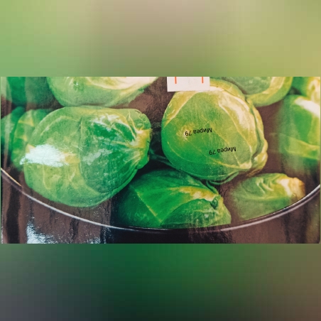 Брюкселско зеле