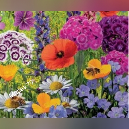 Микс за сянка