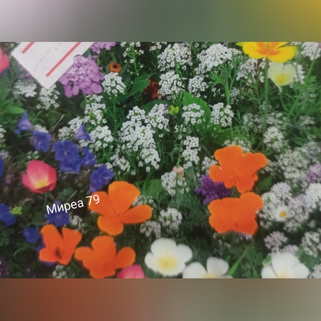 Микс японска градина