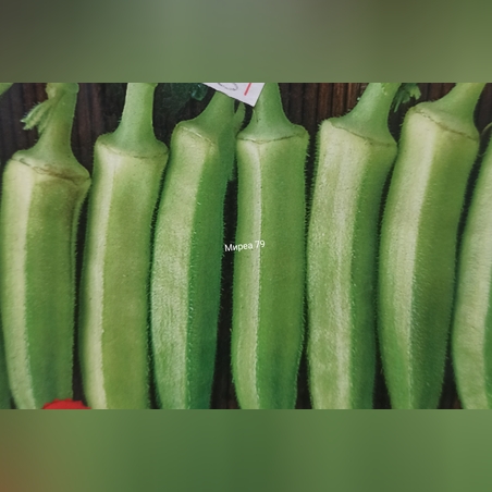 Бамя Клемсон