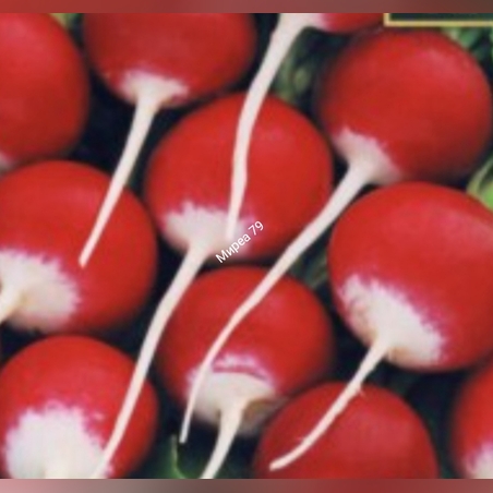 Репички Национал