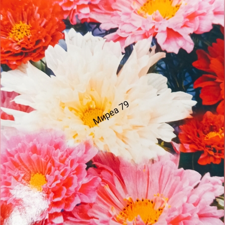 Космос нисък