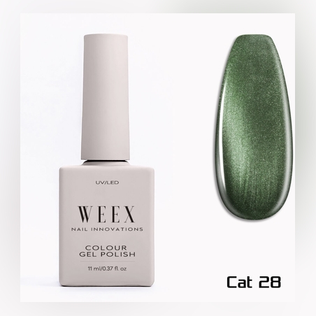 Cat 28