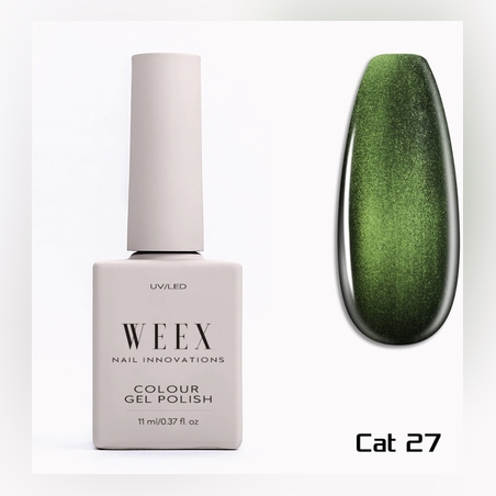 Cat 27