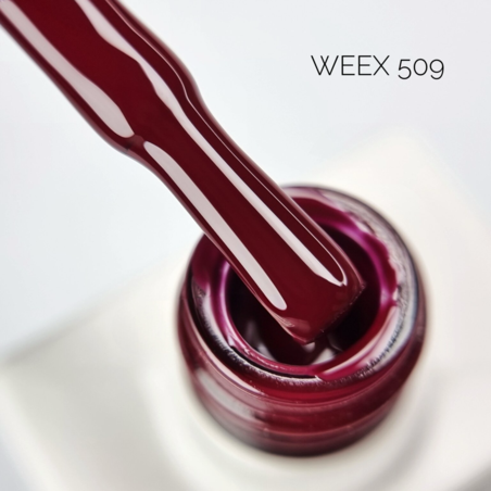 Weex 509