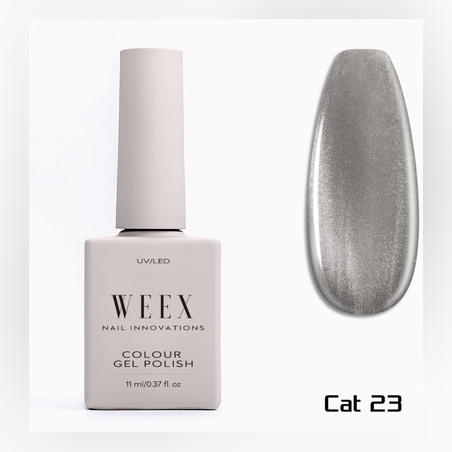 Cat 23