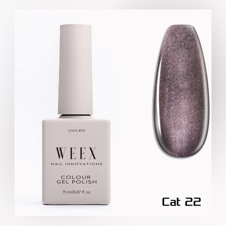 Cat 22