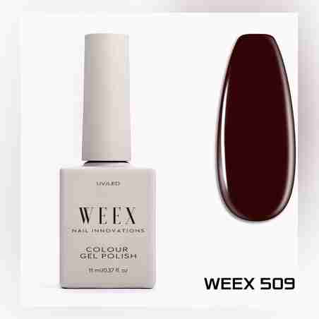 Weex 509