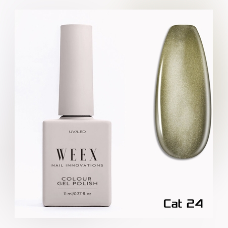 Cat 24
