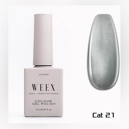 Cat 21