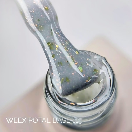 Potal 113 limited edition