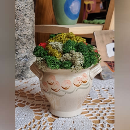 Винтидж кашпа със скандинавски мъх – единствена бройка