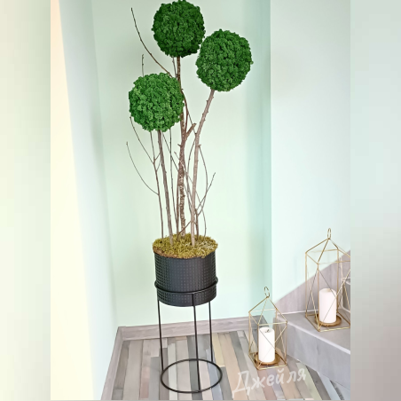 Дърво със скандинавски мъх