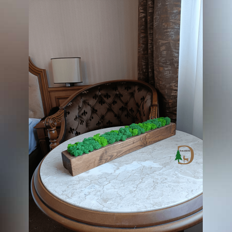 Съндъче от естествено дърво със скандинавски мъх