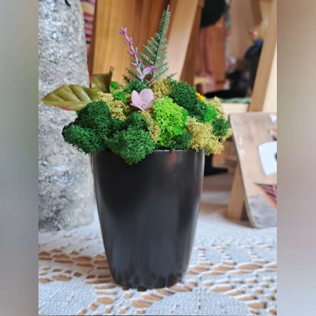 Черна кашпа със скандинавски мъх