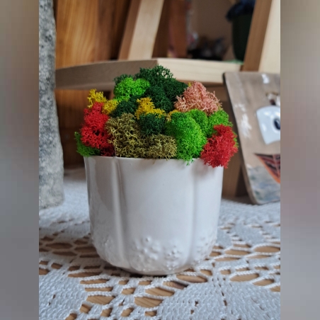 Бяла кашпа със скандинавски мъх