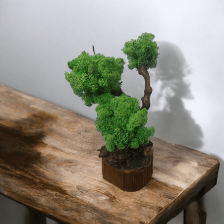 Дърво със скандинавски мъх