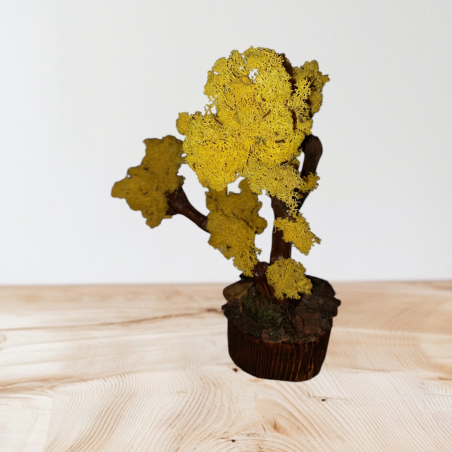 Декорация със скандинавски мъх