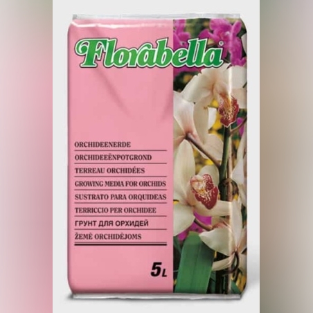 Florabella Орхидея