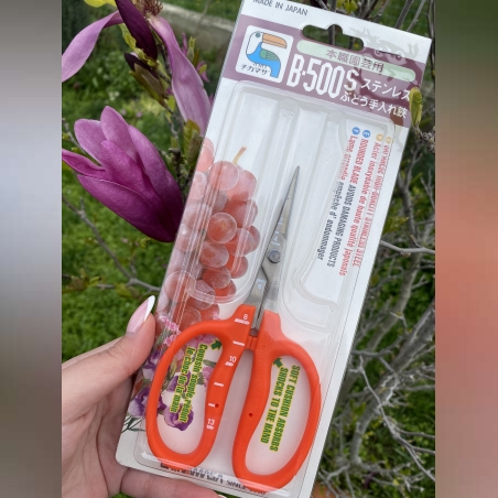 Професионална неръждаема градинска/цветарска ножица Chikamasa B-500S