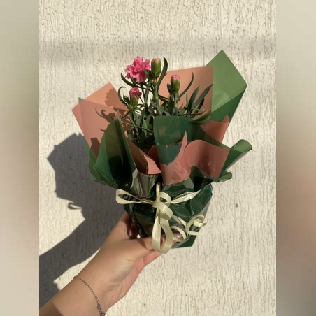 Опаковане на цвете в саксия за подарък