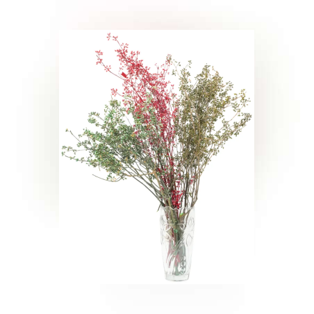 Изкуствено цвете - Суха клонка с пъпки 70см - 50048