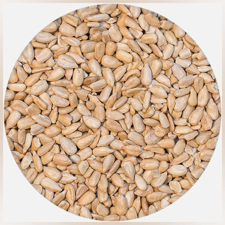 СЛЪНЧОГЛЕДОВО БЕЛЕНО СЕМЕ, СУРОВО