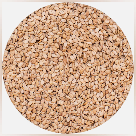 СУСАМОВО СЕМЕ БЕЛЕНО