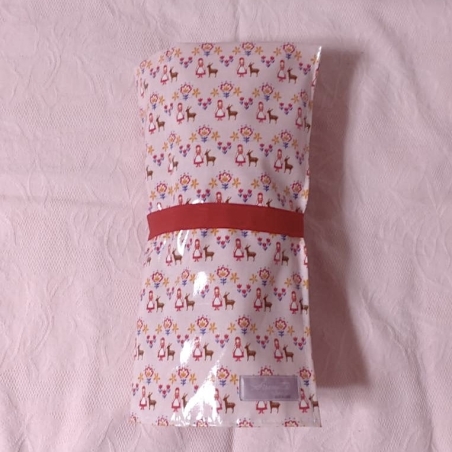 Pointe Shoes Case_Bambi Girl