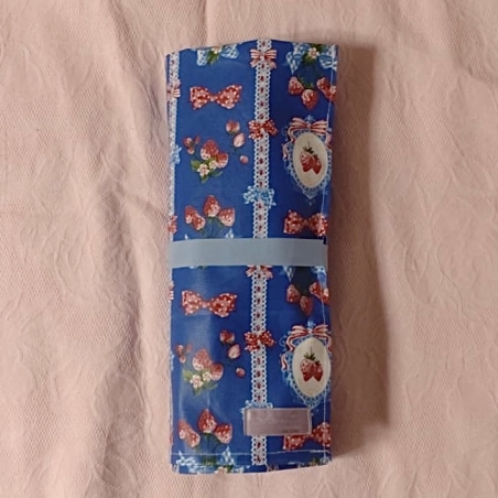 Pointe Shoes Case_British Garden