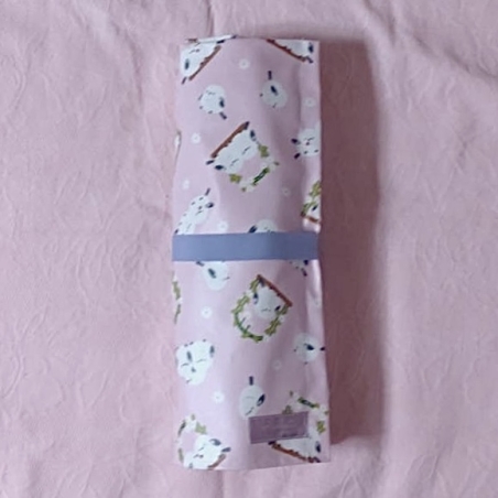 Pointe Shoes Case_Baby Bird
