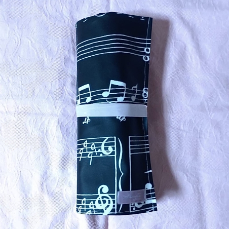 Pointe Shoes Case_Marching Notes