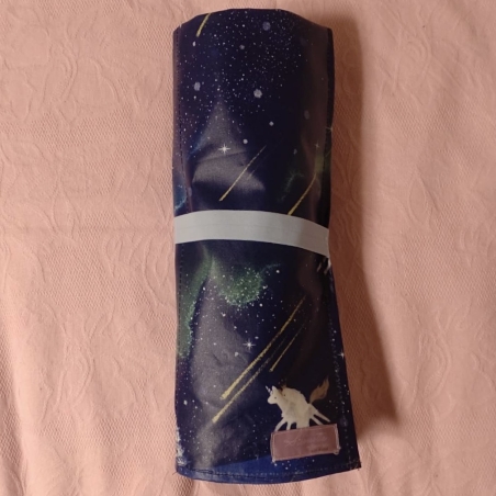 Pointe Shoes Case_Dreamy Dream