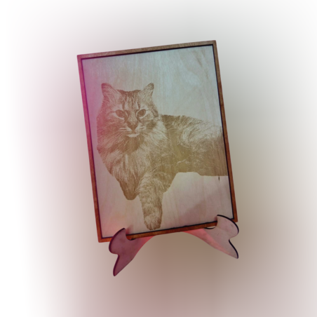 Гравирай снимка на своя домашен любимец