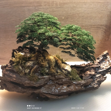 Бонсай от тел,камък и дърво