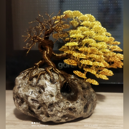 Бутиков бонсай