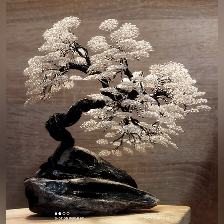 Бутиков бонсай