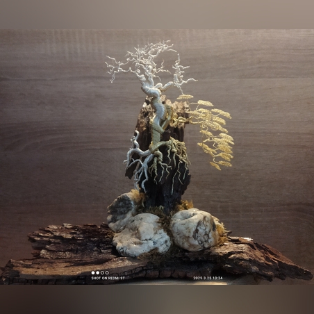 Бонсай от тел,камък и дърво