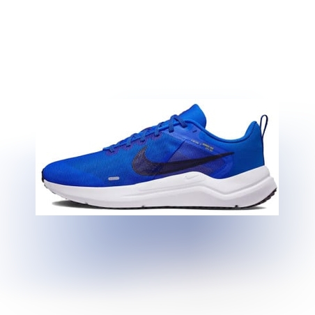 NIKE Downshifter 12 Shoes Blue